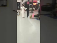 サウジアラビアへ4対1試験ラインの運送成功